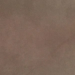 Primal – Woodland | Hertex - Image 7