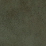 Primal – Woodland | Hertex - Image 11