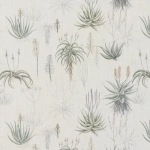 Queens Candelabra – Royal Botanical | Hertex - Image 8