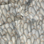 Royal Guard – Royal Botanical | Hertex - Image 2