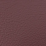 Leather Royale - Nambiti Leather | U&G Fabrics - Image 5
