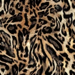 Lucas - Print Paradise | U&G Fabrics