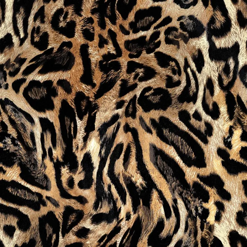 ug-lucas-print-paradise-01-lucas-c-jet-1.webp Lucas - Print Paradise | U&G Fabrics - Image 1