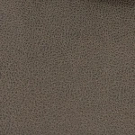 Buddy - Adventure | U&G Fabrics - Image 2