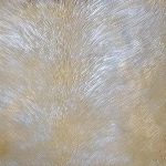 Malia - Velvet Elixir | U&G Fabrics - Image 6