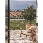 Anastasia Teak Occasional Chair | Hertex - Image 7